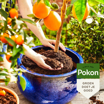 Pokon_bio_mediterrane_potgrond1